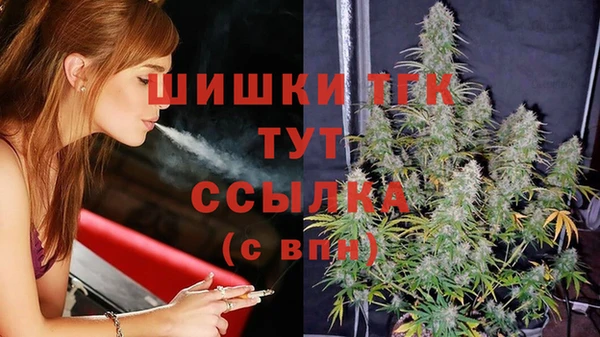 гидропоника Медвежьегорск