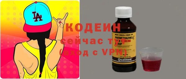 метадон Саки