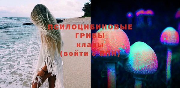 амф Мегион