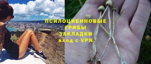гидропоника Медвежьегорск