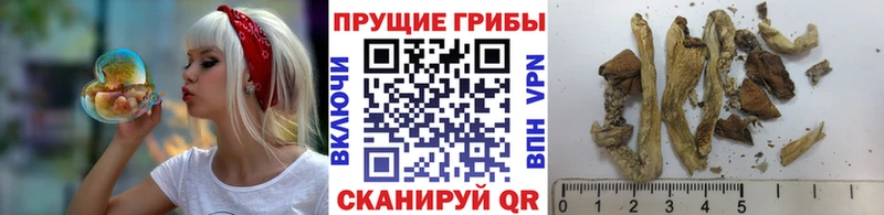 как найти закладки  Чёрмоз  Галлюциногенные грибы ЛСД 